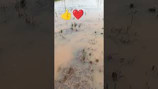 Andhra Pradesh Ki✌ Barish Aaj Ki💕 [upl. by Merissa]