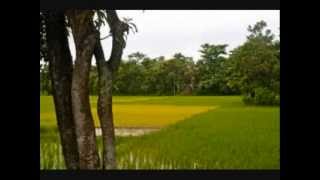 Bangla Desher Gaan Jonmo amar dhonno holo [upl. by Dnalel916]