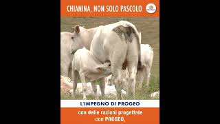 PROGEO 2024 Trequanda VIDEO 01 MASTER MP4 8Mbps 1 [upl. by Fantasia913]