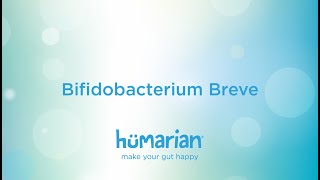 Bifidobacterium Breve [upl. by Prudence]