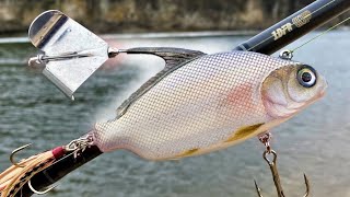 Making a Buzzing QuillBack CarpSucker BuzzBait [upl. by Amador]