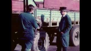 Tag für Tag  Milchviehanlage LPG Karl Marx Broderstorf  DDR Dokumentarfilm [upl. by Yntirb]