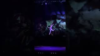 Cirque du Soleil OVO Rupp Arena 1 shortvideo shortsvideo shorts short [upl. by Esille]