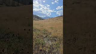 360 Cinder cone camp view Coconino NF AZ SHORTS boondovking soloRVer nomad [upl. by Laen]