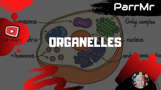 Organelles Song [upl. by Nnyl842]