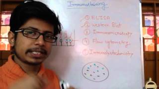 Immunostaining  immunohistochemistry immunocytochemistry and western blot [upl. by Ferretti]