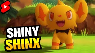 Shiny Shinx after PokeRadar Chain of 40  Pokemon BDSP [upl. by Vedi775]