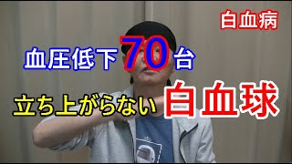 【白血病】血圧低下、そして白血球の行方【闘病記】入院23日目～26日目の出来事 [upl. by Garry]