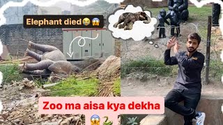 Going to new Lahore zoo 🦁🐃  elephant died😭😱 [upl. by Sesilu]