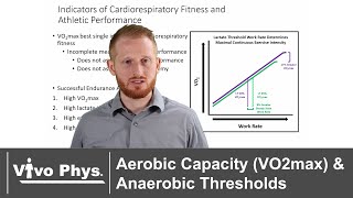 Aerobic Capacity VO2max and Anaerobic Thresholds [upl. by Corey704]