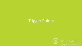 Trigger Point Therapy The Technique amp Process [upl. by Sungam]