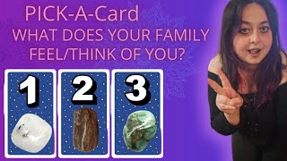 PICKACARD WHAT DOES YOUR FAMILY THINKFEEL ABOUT YOU [upl. by Jacynth]