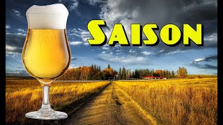 Saison All Grain Recipe Formulation [upl. by Aserehtairam604]