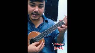 আমি এক গরীব প্রেমিক নীলা  Ukulele Tutorial [upl. by Ahsirk]