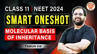 MOLECULAR BASIS OF INHERITANCE CLASS 12 ONE SHOT  NEET 2024  SMART ONE SHOT  BOTANY BY TARUN SIR [upl. by Haines]