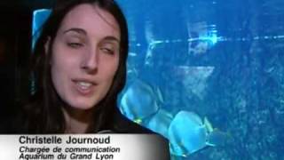 Ateliers maquillage à lAquarium du Grand Lyon [upl. by Ananna]