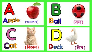 Learn Alphabet A To Z  English Alphabet With Life Example  ABC Preschool  A to Z acbd Video [upl. by Adirehs47]