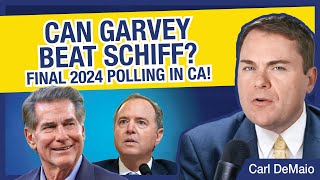 Can Garvey Beat Schiff Final 2024 Polling in CA [upl. by Adelaida944]