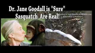 Dr Jane Goodall is quotSurequot Sasquatch are real [upl. by Clarhe111]