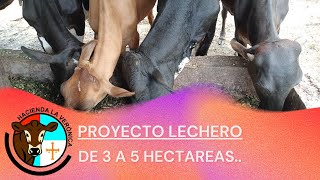 COMO HACER UN PEQUEÑO PROYECTO LECHERO EN 3 A 5 HECTAREAS [upl. by Ynatil]