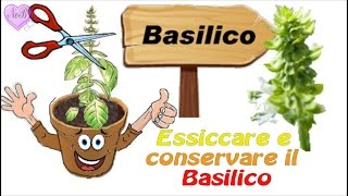 ESSICCARE E CONSERVARE IL BASILICO [upl. by Giverin184]