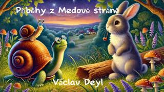 Příběhy z Medové stráně 🐌🐢 audiokniha  Václav Deyl  četba pro děti na pokračování 1 kapitola [upl. by Drisko]