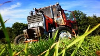 Massey Ferguson 255 ㋡ MafiaSolec [upl. by Ibocaj]