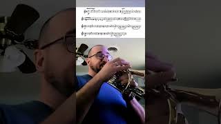 The Stars and Stripes Forever March by JP Sousa trumpet intheshed cornet sousa happy4thofjuly [upl. by Vacla]