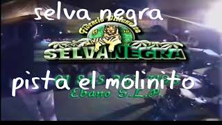 SELVA NEGRA PISTA EL MOLINITO 2009 [upl. by Teillo]