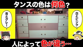 【ゆっくり解説】人によって見える色が違う画像６選【あなたは何色に見える？】 [upl. by Renie795]