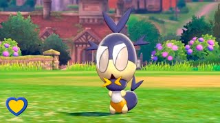 HOW TO GET Blipbug in Pokémon Sword and Shield [upl. by Silden182]