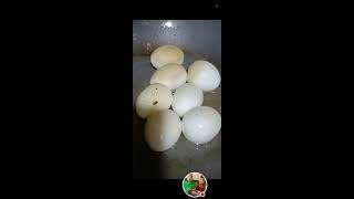 Kodee Vlogs is livefried egg [upl. by Inness]