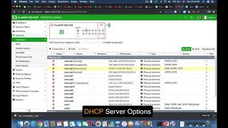 DHCP Options  Fortinet firewall [upl. by Yentiw829]