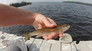 Fishing Rangeley Lake Rangeley Maine [upl. by Ecinrev936]