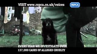 RSPCA Campaigns  Voices [upl. by Sanfourd]