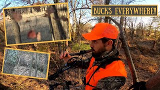 BUCKS EVERYWHERE  November Rut Action  Deer Hunting 20212022 [upl. by Binnie423]