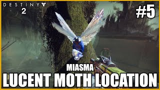 Lucent Moth Location  Miasma Destiny 2 [upl. by Attennaj310]