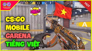 Alpha Ace  Cách Tải CSGO Mobile Beta Được Garena Phát Hành Việt Nam Tiếng Việt Xịn Xò Đồ Hoạ Đỉnh [upl. by Rahcir]