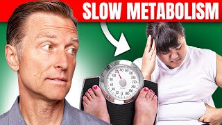 The Best Way to Fix a Slow Metabolism – Dr Bergs Expert Advice [upl. by Colville530]