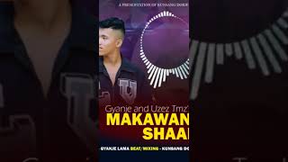 Makwanpure san new rap song hetauda rap kunsang 2024 st hiphopsongs [upl. by Llabmik]