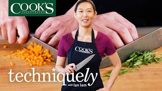 The 3 Knife Skills Everyone Should Know  Techniquely With Lan Lam [upl. by Kiona]