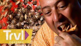 Eating Armadillos and LIVE BUGS in Mexico  Bizarre Foods with Andrew Zimmern  Travel Channel [upl. by Burd]