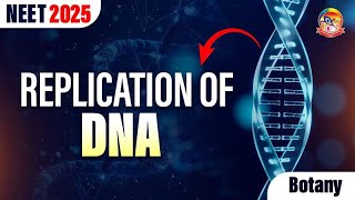 Replication of DNA  Molecular Basis of Inheritance  NEET 2025  srichaitanyagosala [upl. by Erdnuaed331]