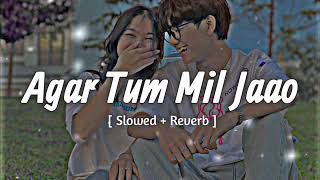 Agar Tum Mil Jaao  Slowed  Reverb   Shreya Goshal  Hindi Lofi [upl. by Bela]