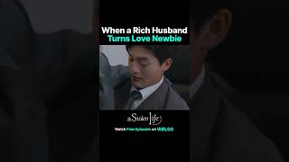 Billionaire Husbands Awkward Romance Moments Watch  A Stolen Life [upl. by Leary306]