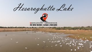 Hesaraghatta Lake  Lake constructed in 1894 by Sir M Visvesvaraya [upl. by Johnette]