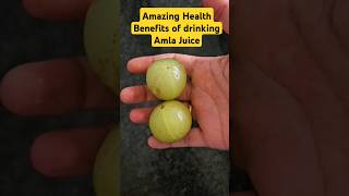 Amazing Health Benefits of drinking Amla Juice skincare amla [upl. by Poock858]