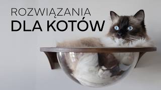 ROZWIĄZANIA DLA KOTÓW  Drapak kuweta osiatkowanie balkonu 😻 [upl. by Baras]