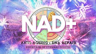 ❋ Powerful NAD  AntiAgeing  DNA Repair  Fountain of Eternal Youth  Gentle Rain Sounds [upl. by Maffei]