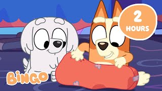 🔴LIVE Bingos Big Adventure 🤩🧡  Get Exploring with Bingo and Bluey 🌎  Bingo [upl. by Nehcterg559]